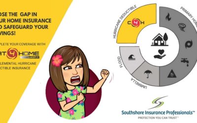 Safeguard your Savings with Cat4Home from The Florida Insurance Chick™️!